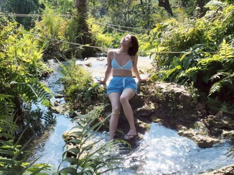 Chiang Mai: Afternoon Bua Tong Sticky Waterfall by Red Taxi - Key Points