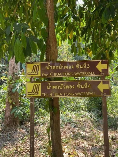 Chiang Mai: Afternoon Bua Tong Sticky Waterfall by Red Taxi - Who Should Consider This Tour?