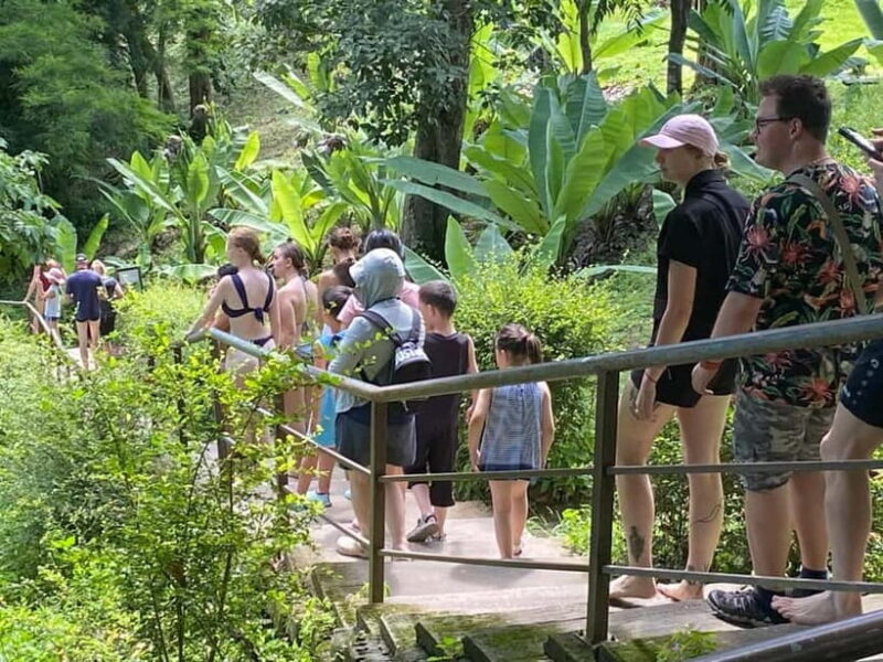 Chiang Mai: Afternoon Bua Tong Sticky Waterfall by Red Taxi - FAQ