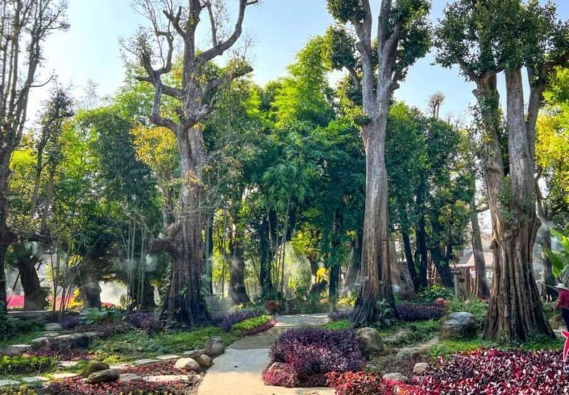 Chiang Mai: Angel Waterfall & Sticky Waterfall & Wat Ban Den - FAQ