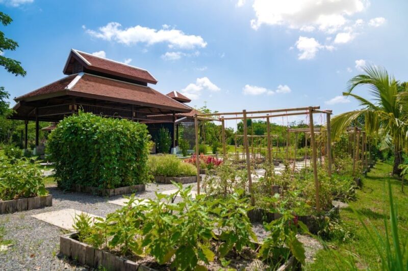 Chiang Mai: Authentic Cooking Class with Market & Farm Visit - A Deep Dive into the Experience