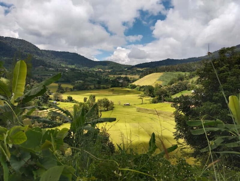 Chiang Mai Authentic Trekking - Chiang Mai Authentic Trekking: A Journey into Nature and Culture