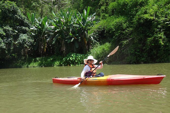 Chiang Mai Biking & River Kayak : Gentle Thrills in a Lush Valley - Chiang Mai Biking & River Kayak: Gentle Thrills in a Lush Valley