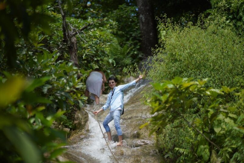 Chiang Mai: Bua Thong Sticky Waterfall & Huge Cave & Buffet - Why This Tour Is Worth It