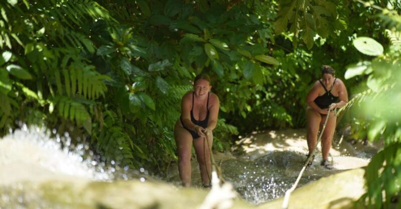 Chiang Mai: Bua Thong Sticky Waterfall & Huge Cave & Buffet - Frequently Asked Questions