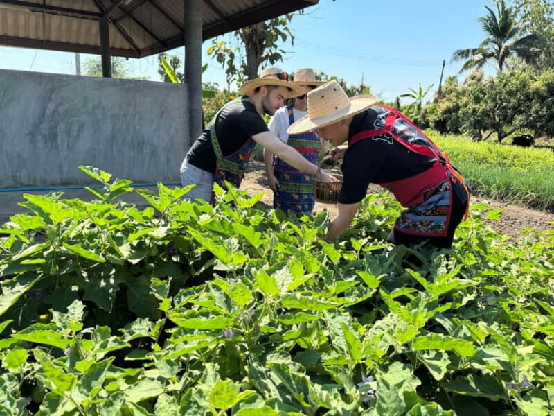 Chiang Mai : Cook in Farm, Market tour & Go by a Local Train - FAQ