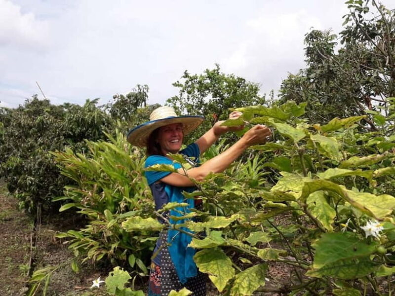 Chiang Mai: Cooking in Organic Farm with a Local Train Trip - Key Points