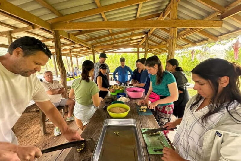 Chiang Mai: Day for Elephant Observation Only Half-day Trip - Key Points