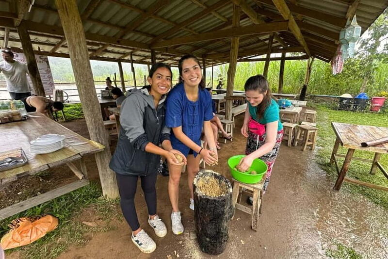 Chiang Mai: Day for Elephant Observation Only Half-day Trip - The Bottom Line