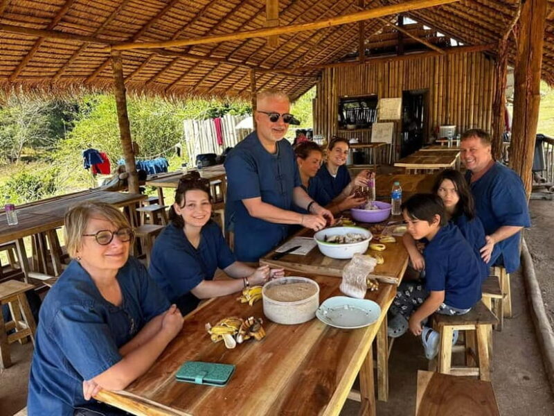 Chiang Mai: Doi Inthanon Hiking Tour & Elephant Care Program - Key Points