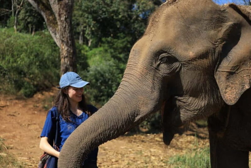 Chiang Mai: Doi Inthanon Hiking Tour & Elephant Care Program - Hilltribe Coffee and Cultural Insights