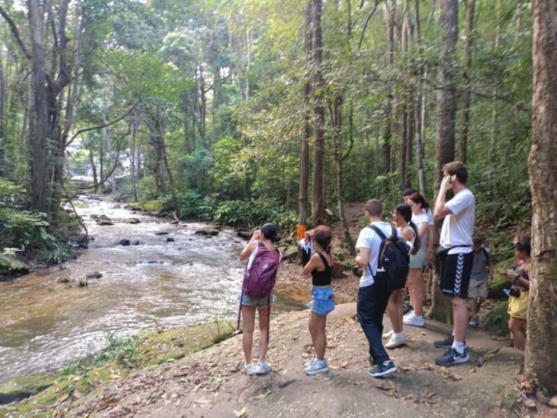 Chiang Mai: Doi Inthanon Hiking Tour & Elephant Care Program - What to Bring and Tips