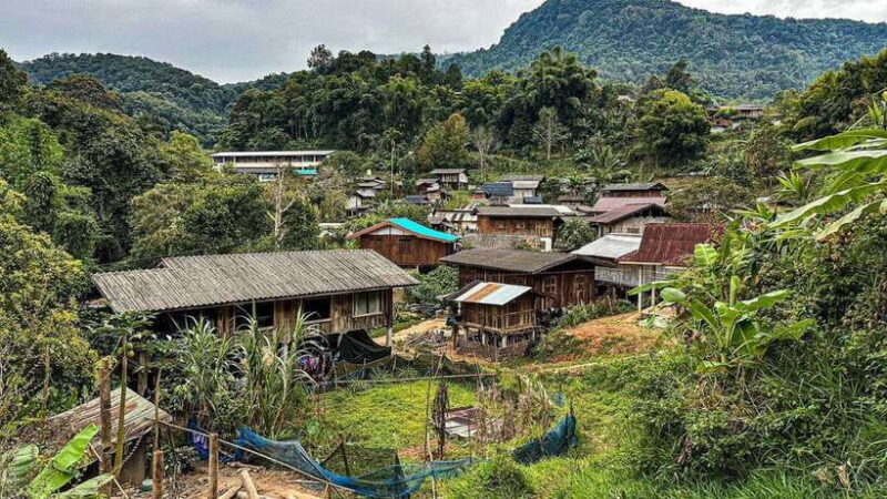 Chiang Mai: Doi Inthanon National Park and Pha Dok Siew Trek - A Deep Dive into What This Tour Offers