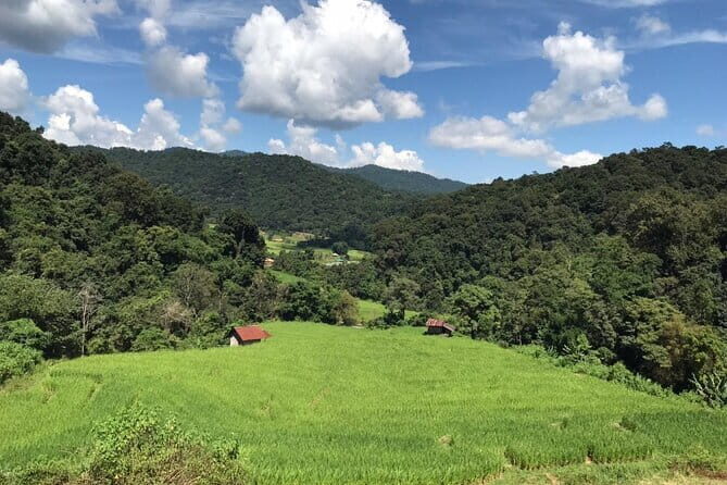 Chiang Mai Doi Inthanon National Park Day Tour - Who Should Consider This Tour?