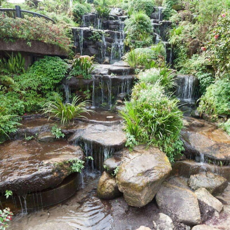 Chiang Mai: Doi Inthanon National Park Day Tour with Lunch - Who Would Enjoy This Tour?