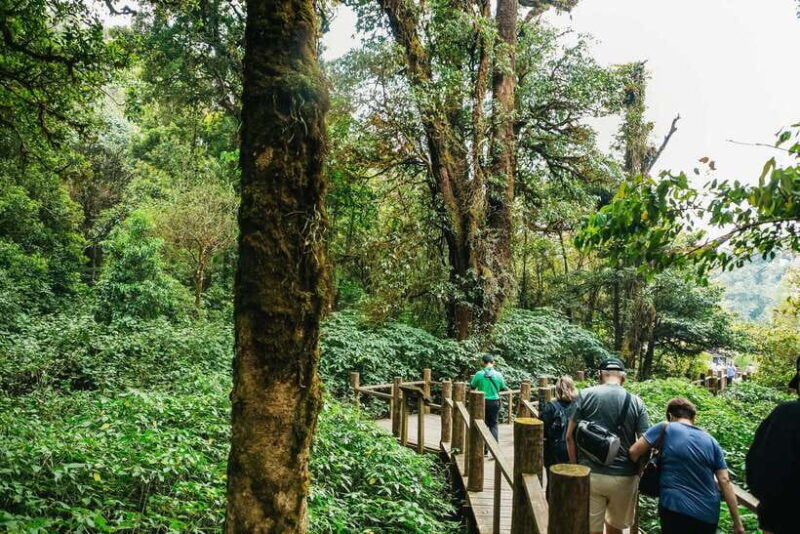 Chiang Mai: Doi Inthanon National Park Eco-Friendly Tour - Key Points