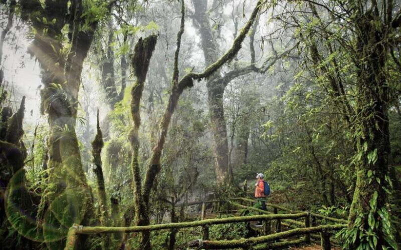Chiang Mai: Doi Inthanon National Park Sightseeing Only - Exploring Doi Inthanon: A Well-Balanced Day of Nature and Culture