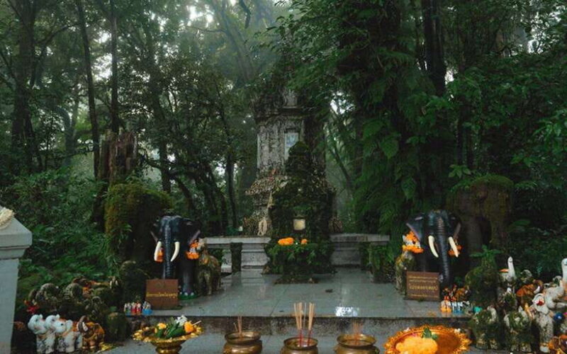 Chiang Mai: Doi Inthanon National Park Sightseeing Only - Frequently Asked Questions