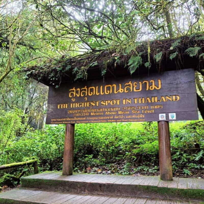 Chiang Mai: Doi Inthanon National Park & Waterfall Day Tour - Who Should Consider This Tour?