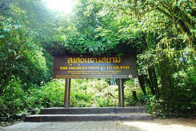 Chiang Mai: Doi Inthanon National Park, Waterfall & Royal Project - Authentic Experiences and Practical Tips