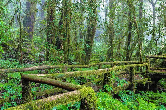 Chiang Mai: Doi Inthanon National Park, Waterfall & Royal Project - FAQ