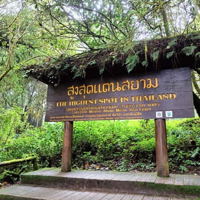 Chiang Mai: Doi Inthanon National Park+Trek Pha Dok Siew - An In-Depth Look at the Doi Inthanon Tour Experience