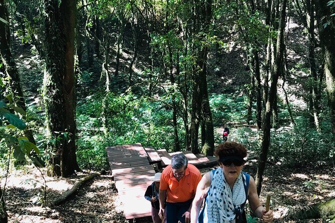 Chiang Mai Doi Inthanon Nature, Culture & Highest Point - What to Expect on the Doi Inthanon Tour