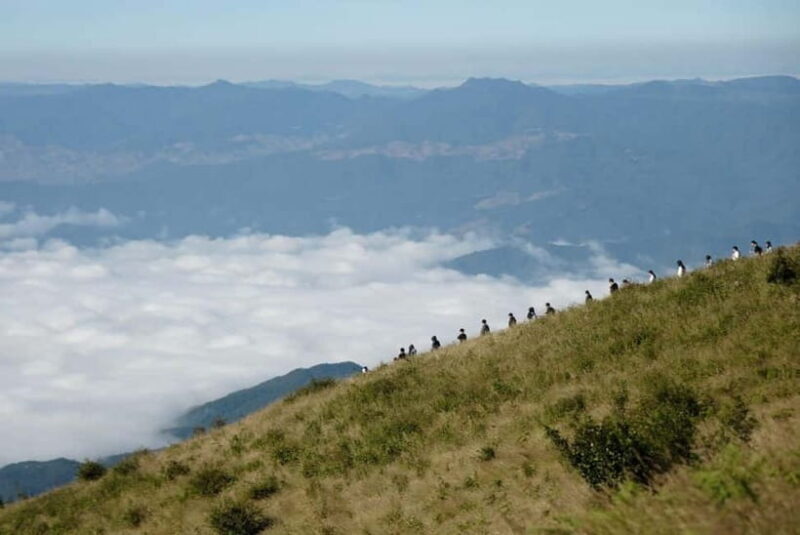 Chiang Mai: Doi Inthanon Park and Kew Mae Pan 2-Hour Hike - Key Points