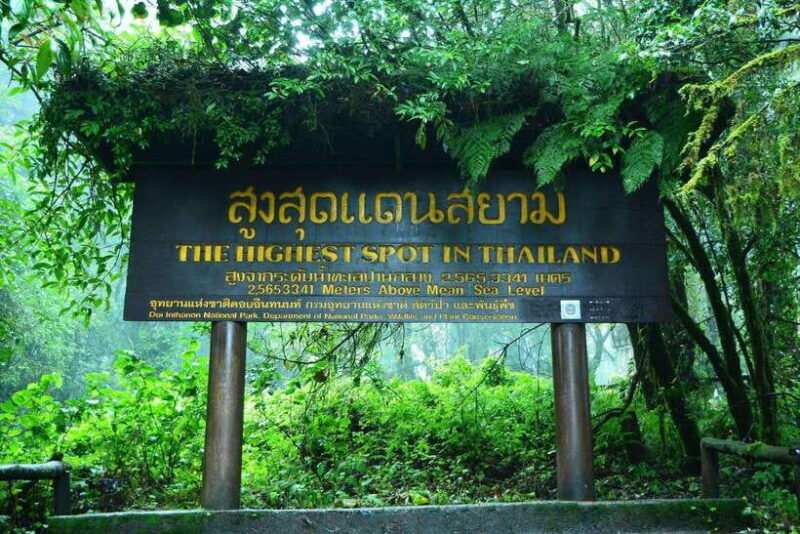 Chiang Mai: Doi Inthanon Park Tour & Kew Mae Pan Trail Hike - Key Points