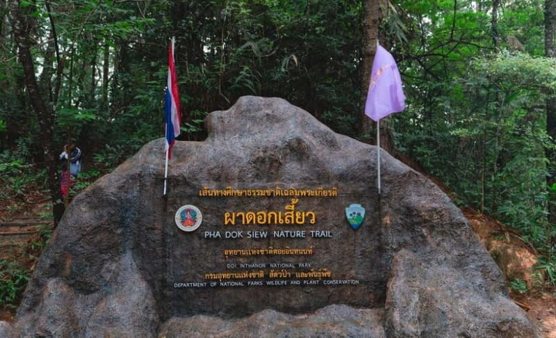 Chiang Mai: Doi Inthanon Trip with Pha Dok Siew Guided Trek - Chiang Mai: Doi Inthanon Trip with Pha Dok Siew Guided Trek