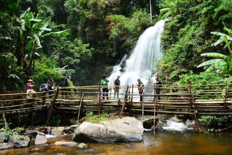 Chiang Mai: Doi Inthanon Trip with Pha Dok Siew Guided Trek - Authentic Experiences and Real Traveler Feedback