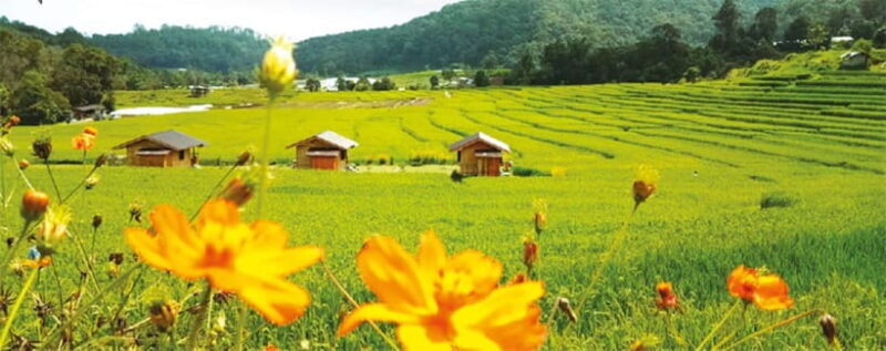 Chiang Mai: Doi Inthanon Trip with Pha Dok Siew Guided Trek - Who Should Consider This Tour?