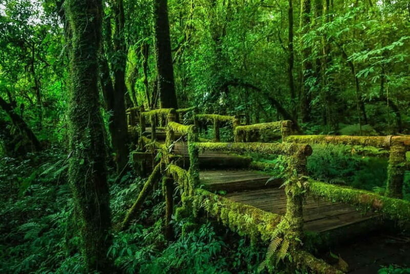 Chiang Mai: Doi Inthanon Trip with Pha Dok Siew Guided Trek - FAQ