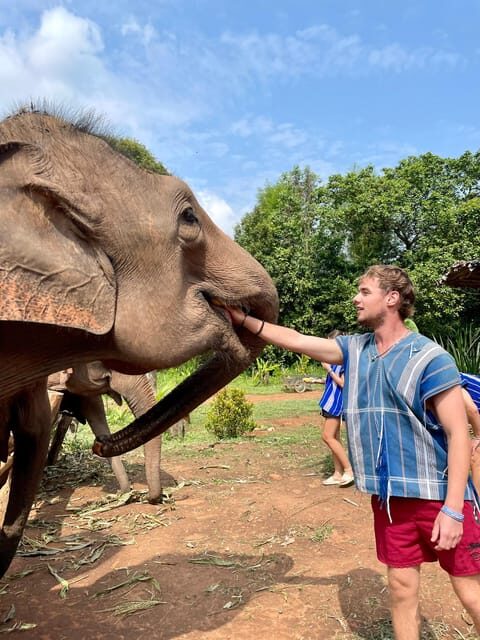 Chiang Mai: Elephant Dream Project Sanctuary - Half-Day - Discovering the Ethical Side of Elephant Tourism in Chiang Mai