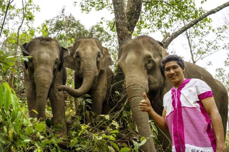 Chiang Mai: Elephant Dream Project Sanctuary - Half-Day - FAQs