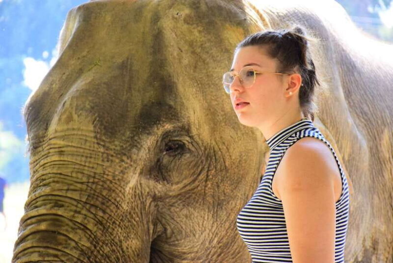 Chiang Mai: Elephant Feeding Experience - Why Choose This Experience?