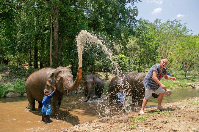 Chiang Mai Elephant Sanctuary and Sticky Waterfall Day Tour - Who Is This Tour Best For?
