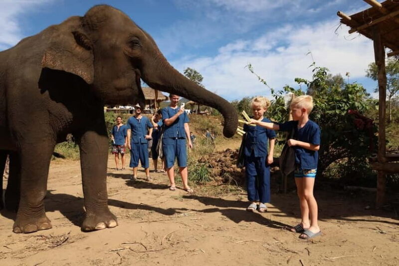 Chiang Mai: Elephant Sanctuary & Bamboo Rafting - Practical Details
