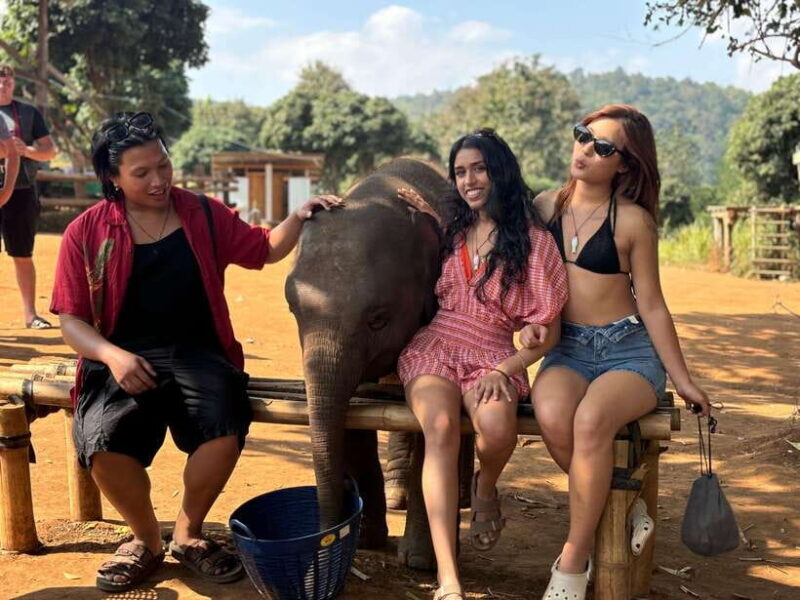 Chiang Mai: Elephant Sanctuary Feeding Program Half-Day Tour - A Deep Dive into Chiang Mai’s Elephant Sanctuary Feeding Program