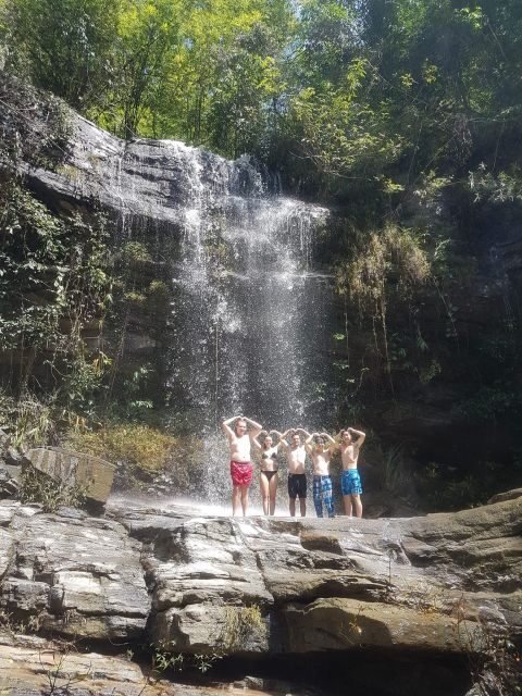 Chiang Mai: Elephant Sanctuary & Jungle Trek w/ Waterfall - Chiang Mai: Elephant Sanctuary & Jungle Trek w/ Waterfall