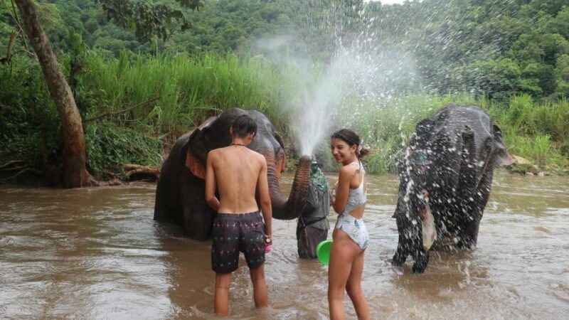 Chiang Mai: Elephant Sanctuary & Jungle Trek w/ Waterfall - Who Will Love This Tour?