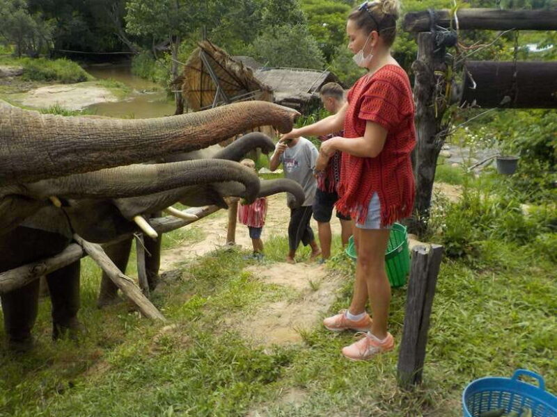Chiang Mai: Elephant Sanctuary Local Hill Tribe Caretakers - Why This Tour Offers Great Value