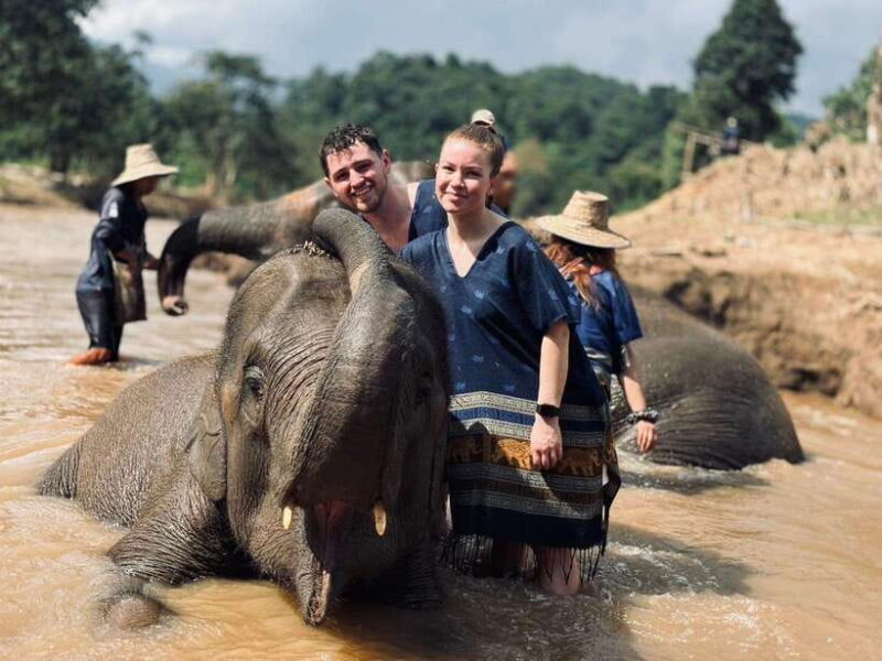 Chiang Mai: Elephant Sanctuary, Long Neck & Sticky Waterfall - Key Points