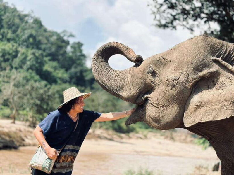 Chiang Mai: Elephant Sanctuary, Long Neck & Sticky Waterfall - A Detailed Look at the Experience