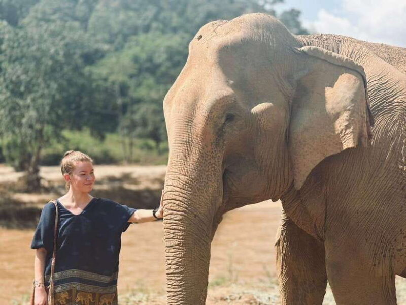 Chiang Mai: Elephant Sanctuary, Long Neck & Sticky Waterfall - The Human Touch: Guides and Reviews