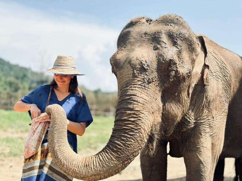 Chiang Mai: Elephant Sanctuary, Long Neck & Sticky Waterfall - The Sum Up