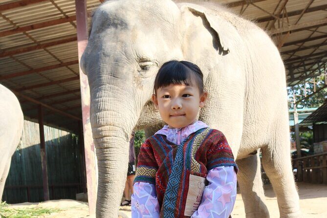 Chiang Mai Elephant Sanctuary Small Group Ethical Tour - A Detailed Look at the Chiang Mai Elephant Sanctuary Small Group Tour