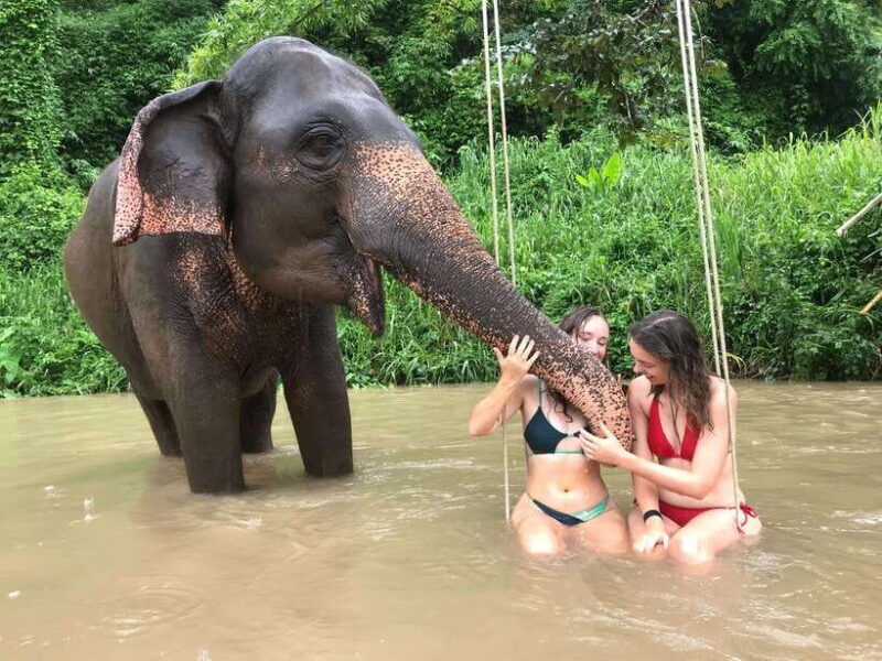 Chiang Mai: Elephant Sanctuary & Waterfall Group Tour - Why This Tour Stands Out