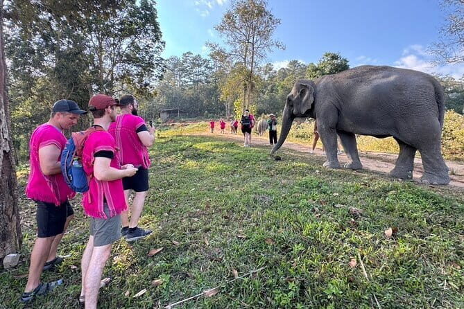 Chiang Mai Elephant Watch and Wang River Rafting - Experience the Heart of Chiang Mai: Elephant Sanctuary & Wang River Rafting