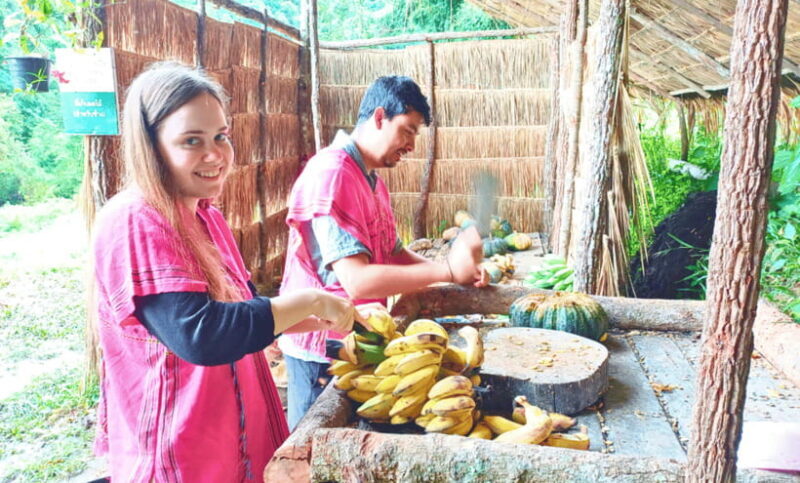 Chiang Mai: Ethical Half Day Elephant Sanctuary & Waterfall - Starting with the Basics: Location, Duration, and Price
